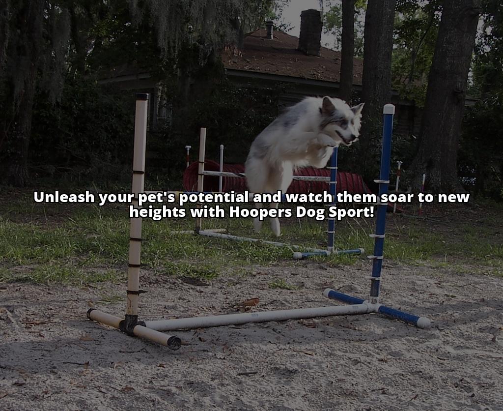 Hoopers Dog Sport: Unleash Your Pet's Potential Today!