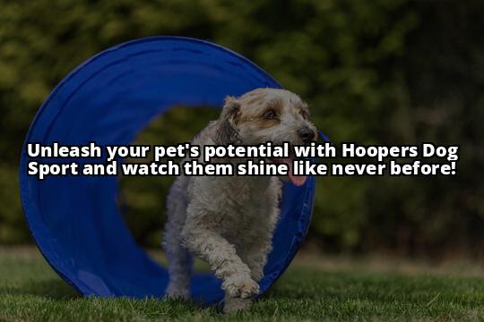 Hoopers Dog Sport: Unleash Your Pet's Potential Today!