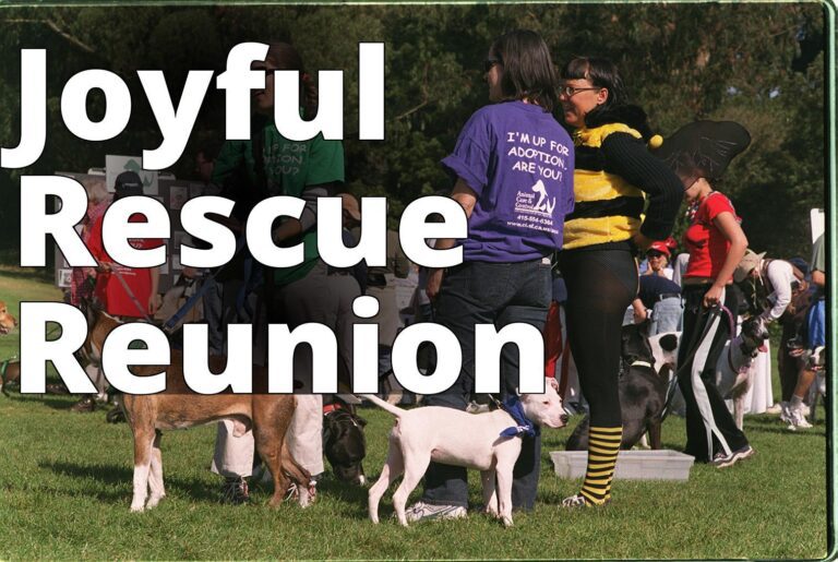 File:VOLUNTEERs from SF Animal Care and Control at Pet Pride Day, 2002.jpg - a group of people stand