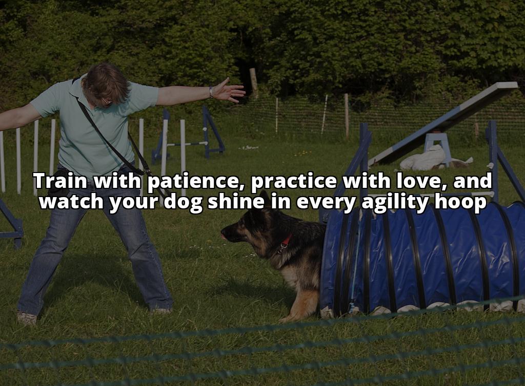 Hoopers Dog Agility: Essential Tips for Training Success