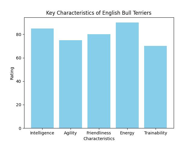 English Bull Terrier Adoption in the UK Made Easy: Expert Tips