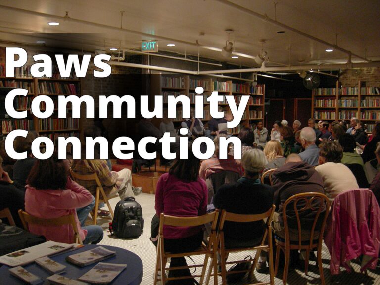 File:Elliott Bay Books - author reading 01A.jpg - a group of people sitting in a library