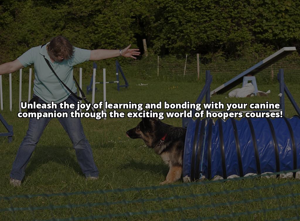 Unleash Fun with Canine Hoopers Courses: Training Tips Galore