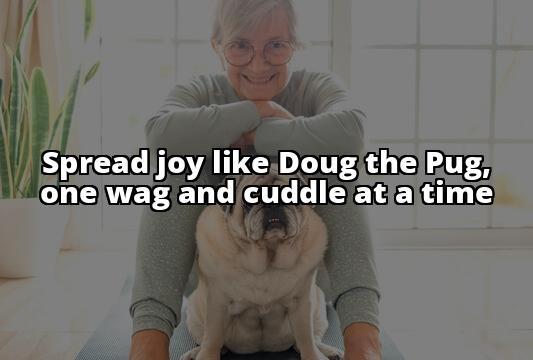 Meet Doug the Pug: The Therapy Dog Spreading Joy Through Animal-Assisted Therapy