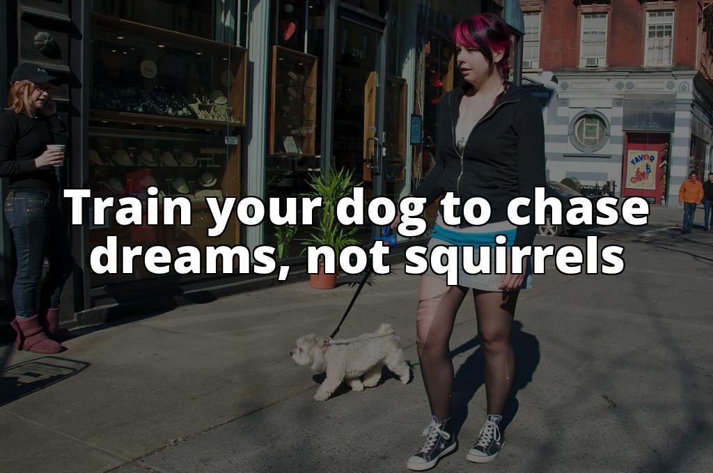 Say Goodbye to Dog Chasing Squirrels with These Tips