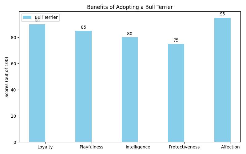 Bull Terrier to Adopt: Unleash Joy in Your Home