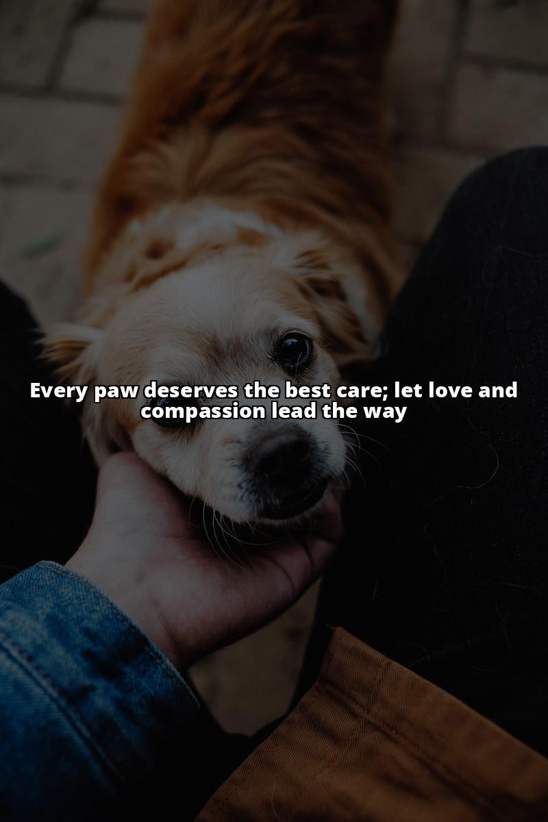 Paws for Pets UK: The Best Pet Care Solutions You Need