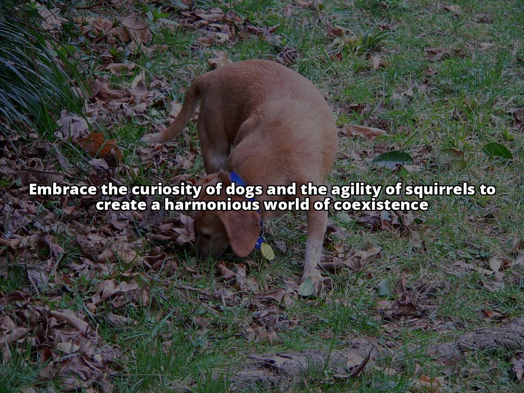 Winning Title: Understanding Dogs and Squirrels: Tips for Peaceful Coexistence