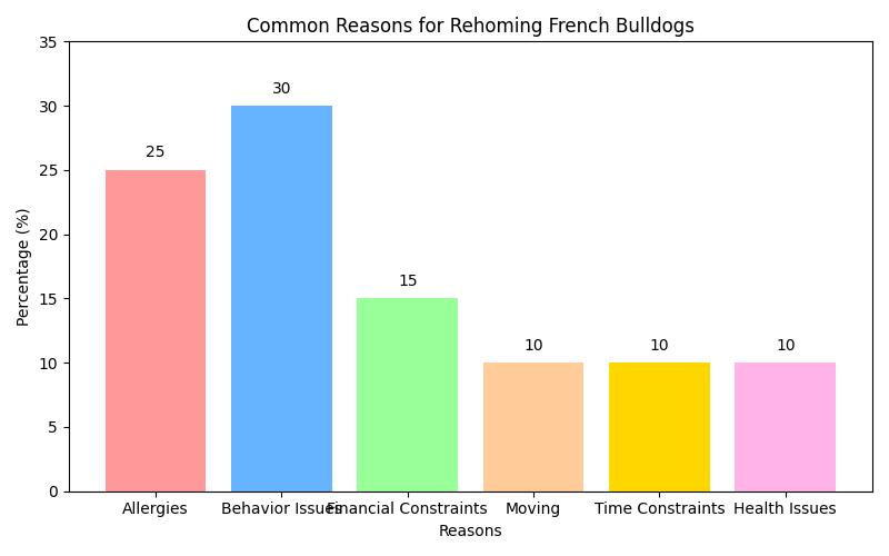 5 Key Steps to Ensure French Bull Dog Rehome Success